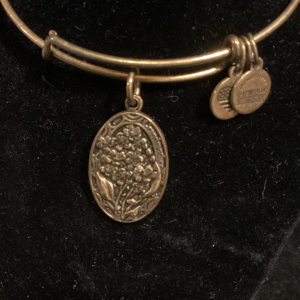 Alex and Ani Grandmother Legacy Bracelet
